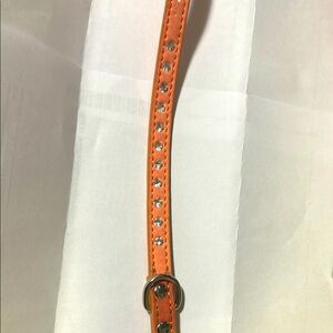 Orange Dog Collar with Rhinestones